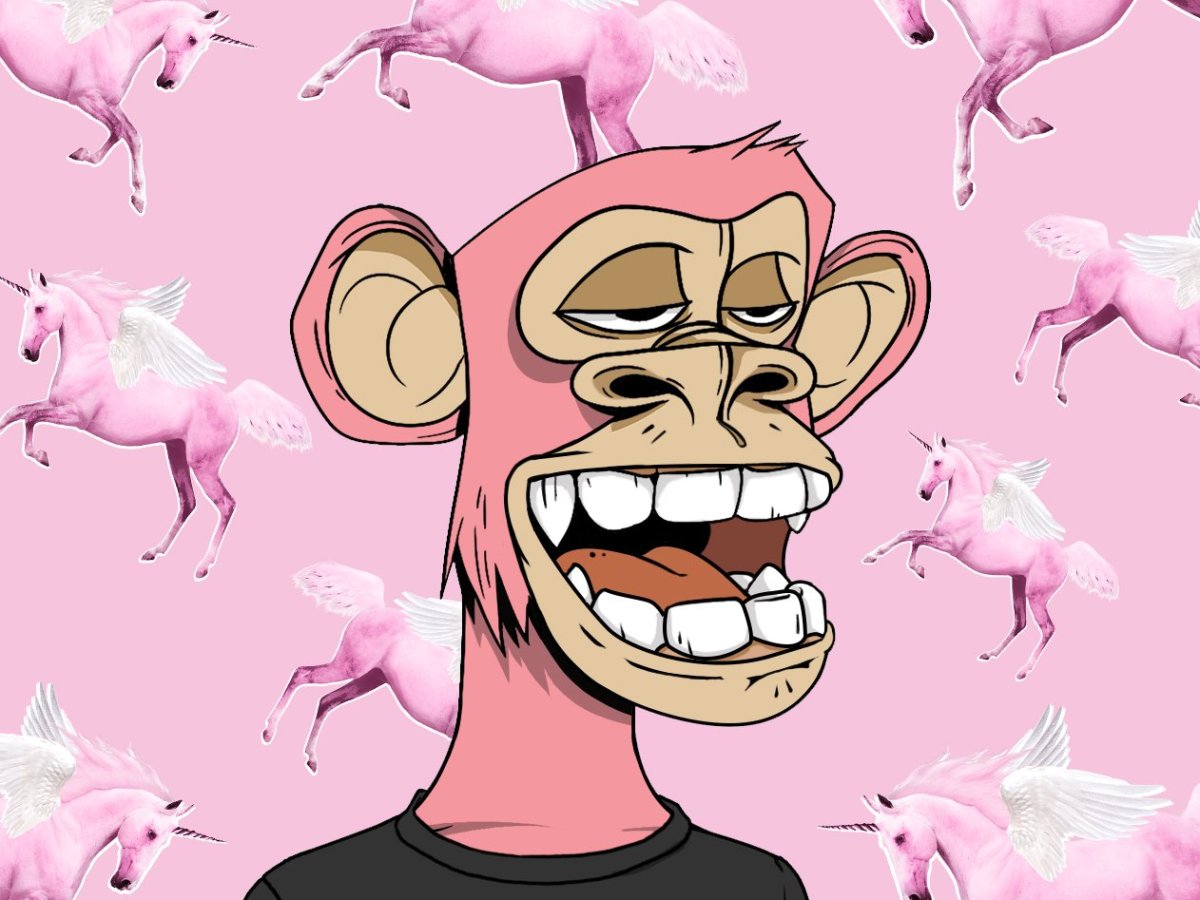 JPEG Monkey See, JPEG Monkey&nbsp;Do.